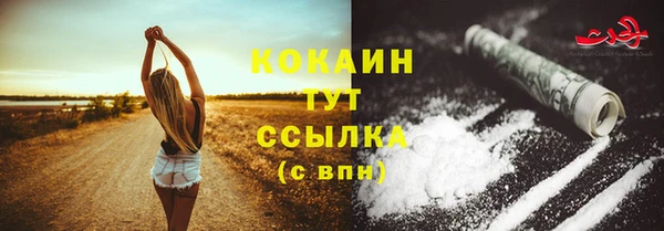 mdpv Лабытнанги