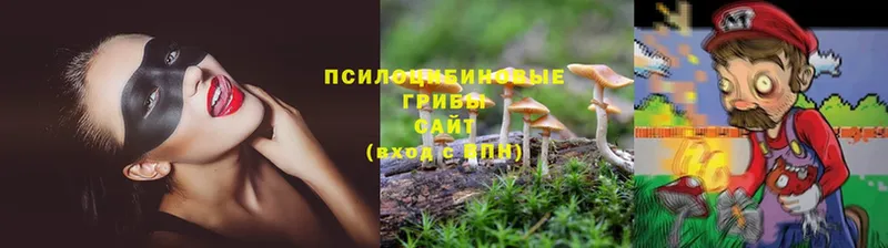 Галлюциногенные грибы GOLDEN TEACHER  Дегтярск 